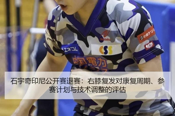 shi-yu-qi-yin-ni-gong-kai-sai-tui-sai-you-xi-fu-fa-dui-kang-fu-zhou-qi-can-sai-ji-hua-yu-ji-shu-tiao-zheng-de-ping-gu-2-523.jpg