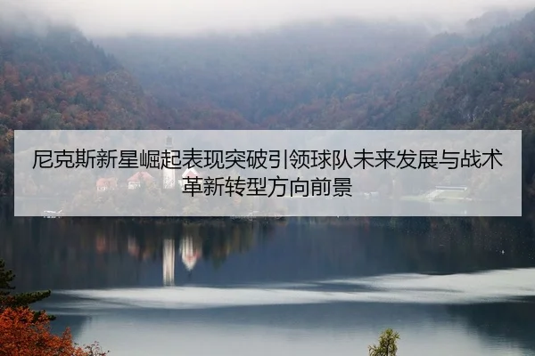 尼克斯新星崛起表现突破引领球队未来发展与战术革新转型方向前景