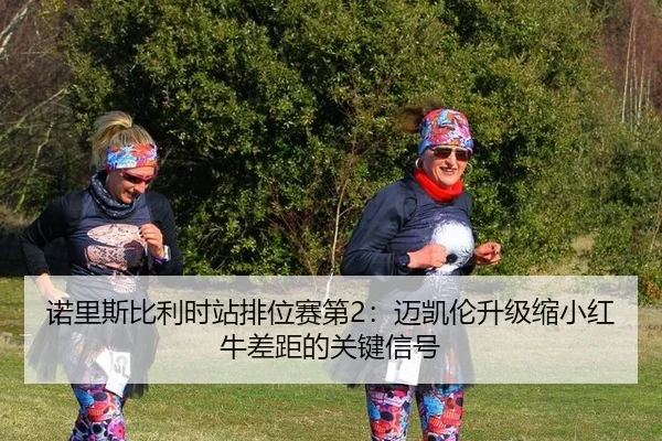 nuo-li-si-bi-li-shi-zhan-pai-wei-sai-di-mai-kai-lun-sheng-ji-suo-xiao-hong-niu-cha-ju-de-guan-jian-xin-hao-2-561.jpg